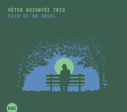 rozsnyoi-peter-trio-pain-of-an-angel.jpg