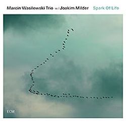 marcin-wasilewski-trio-spark-of-life.jpg