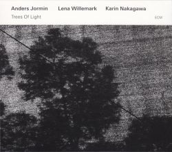anders-jormin-lena-willemark-karin-nakagawa-trees-of-light.jpg
