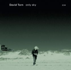 david-torn-only-sky.jpg