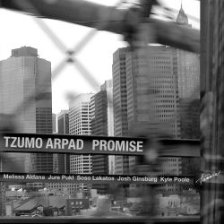 tzumo-promise-digital.jpg