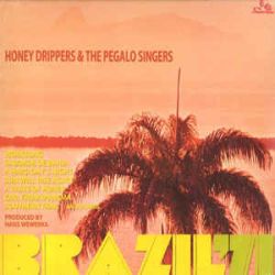 honey-drippers-the-pegalo-singers-brazil71.jpg