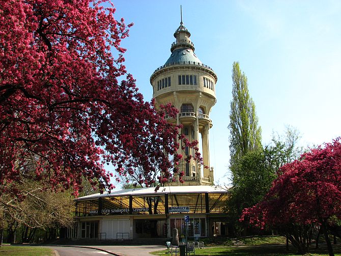 margitszigeti-viztorony-nappal.jpg