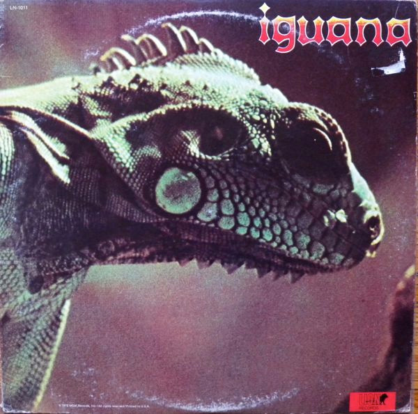 iguana-iguana.jpg