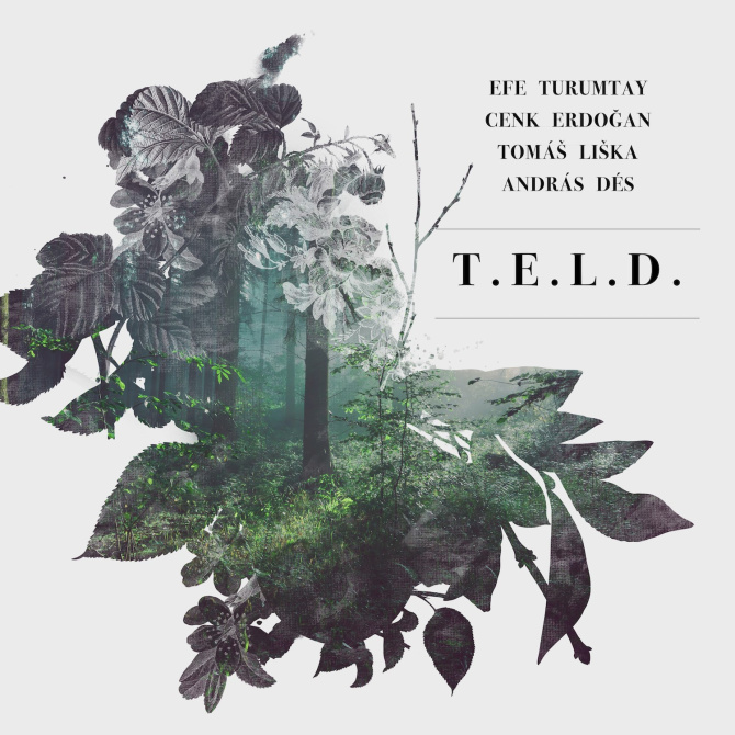 teld-cover.jpg