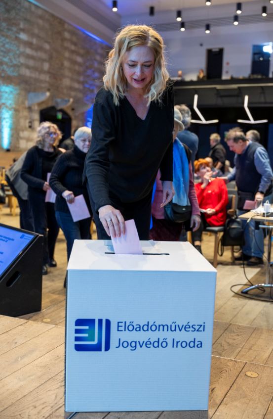 szavazas.JPG