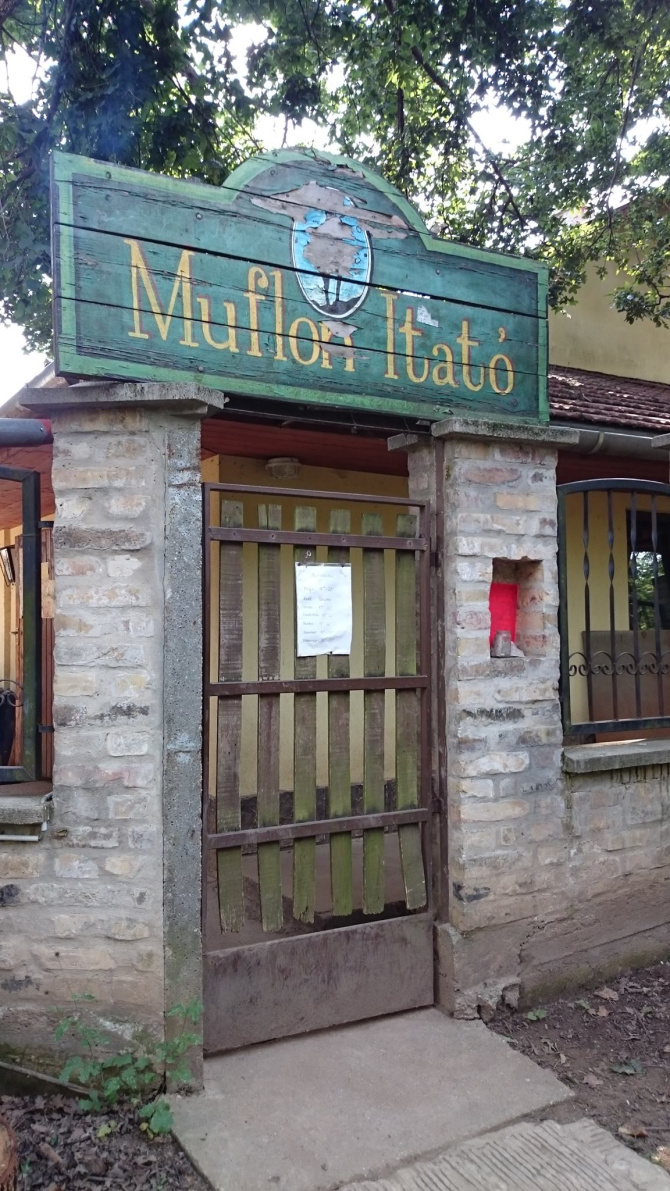 muflon-itato.jpg