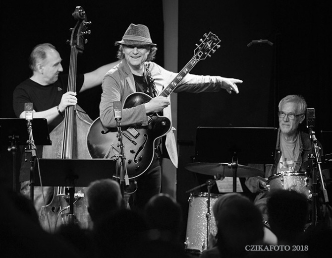 tanari-koncert.jpg
