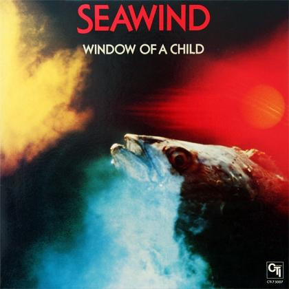 seewind-window-of-a-child.jpg