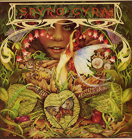 spyro-gyra-morning-dance.jpg