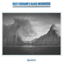 billy-cobhams-glass-menagerie-observations-reflections.jpg