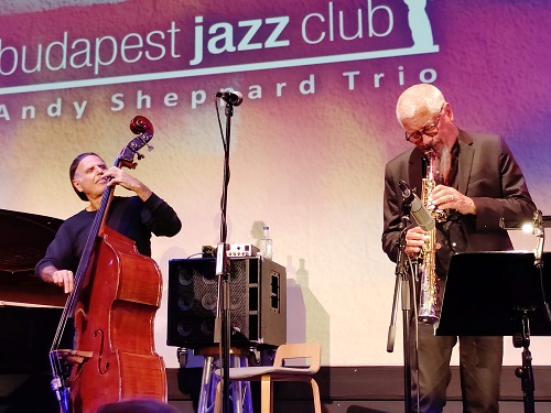 benita-sheppard.jpg benita-sheppard.jpg