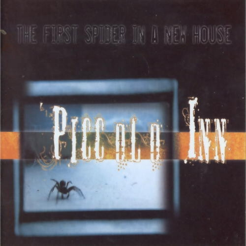 piccolo-inn-the-first-spider-in-a-new-house.jpg