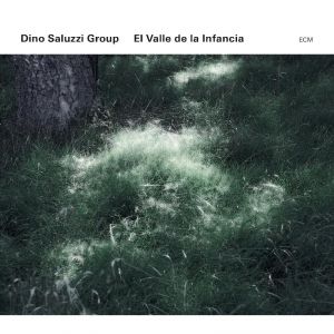 dino-saluzzi-group-el-valle-de-la-infancia.jpg