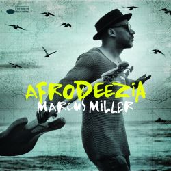 marcus-miller-afrodeezia.jpg