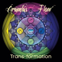 trans-formation-flow.jpg
