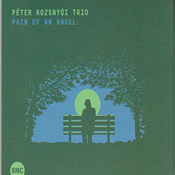 rozsnyoi-peter-trio-pain-of-an-angel.jpg