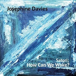 josephine-davies-satori-how-can-we-wake.JPG
