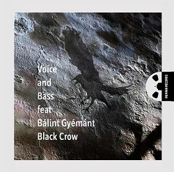 voice-and-bass-feat-balint-gyemant-black-crow.jpg