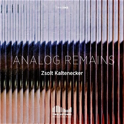 kaltenecker-zsolt-analog-remains.jpg