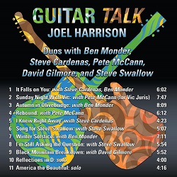 joel-harrison-guitar-talk.JPG
