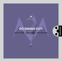 csordas-gabor-do-swans-fly.jpg