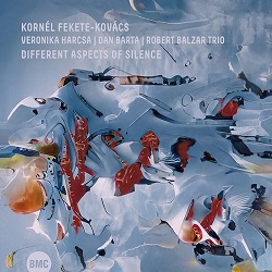 fekete-kovacs-kornel-different-aspects-of-silence.jpg