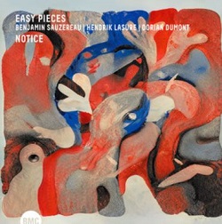 easy-pieces-notice.jpg