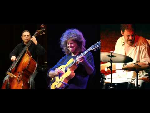 metheny-egri-balazs-2000.jpg